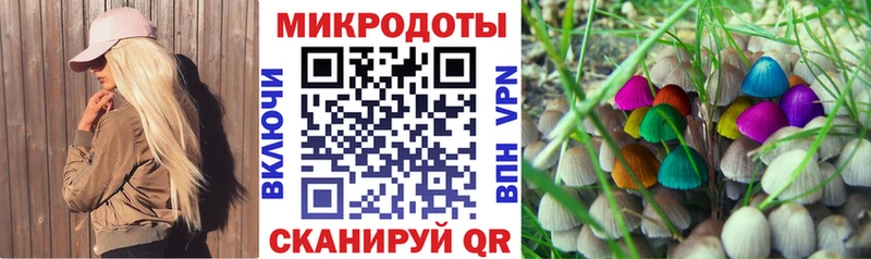 Галлюциногенные грибы Psilocybine cubensis  KRAKEN tor  Нефтекамск  купить  цена 
